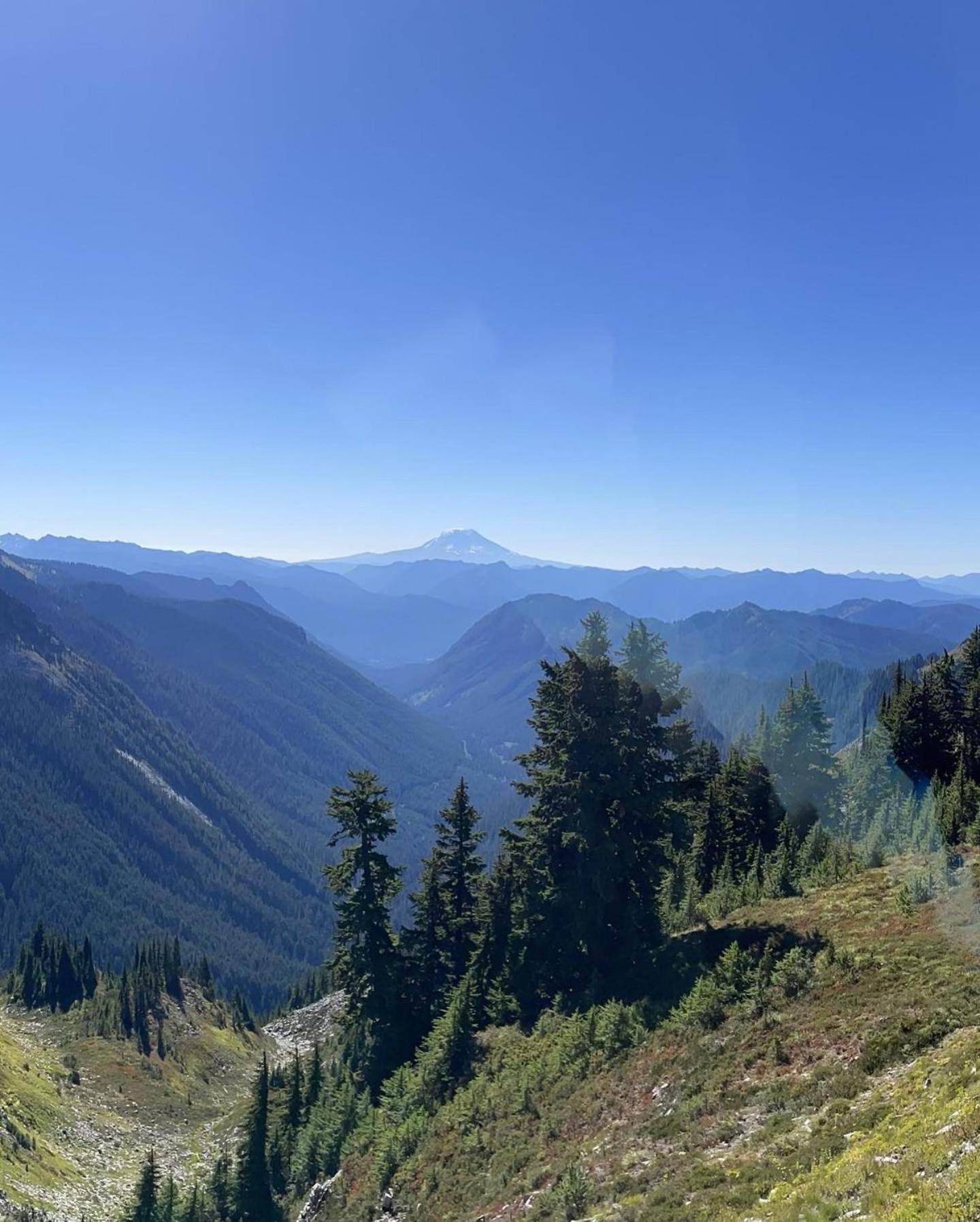 New Modern Cabin! 5Mi To Mt Rainier National Park! Hot Tub & Wifi Ashford Exterior foto